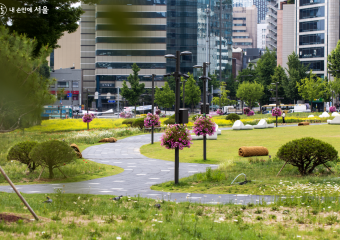 송현녹지광장. 야생화 꽃단지가 한창... 도심속 힐링 공간